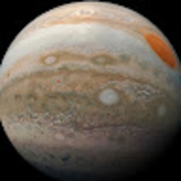 Meet your Posher, Casey - Picture 1 of 1